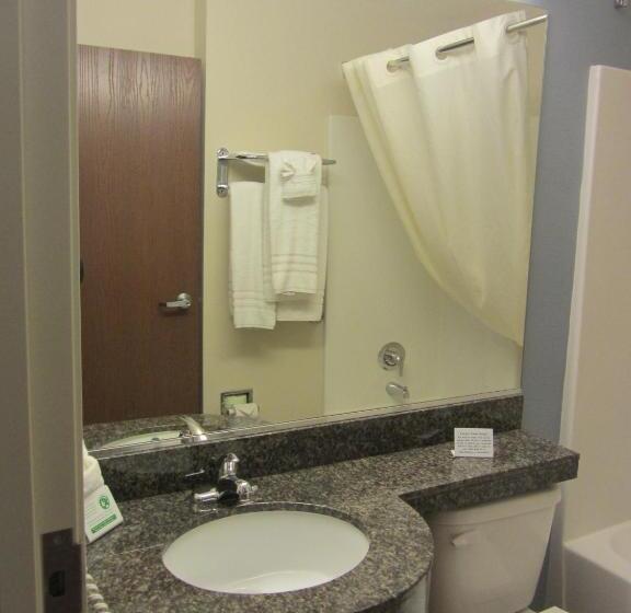 适合残疾人士使用的套间, Microtel Inn And Suites San Angelo