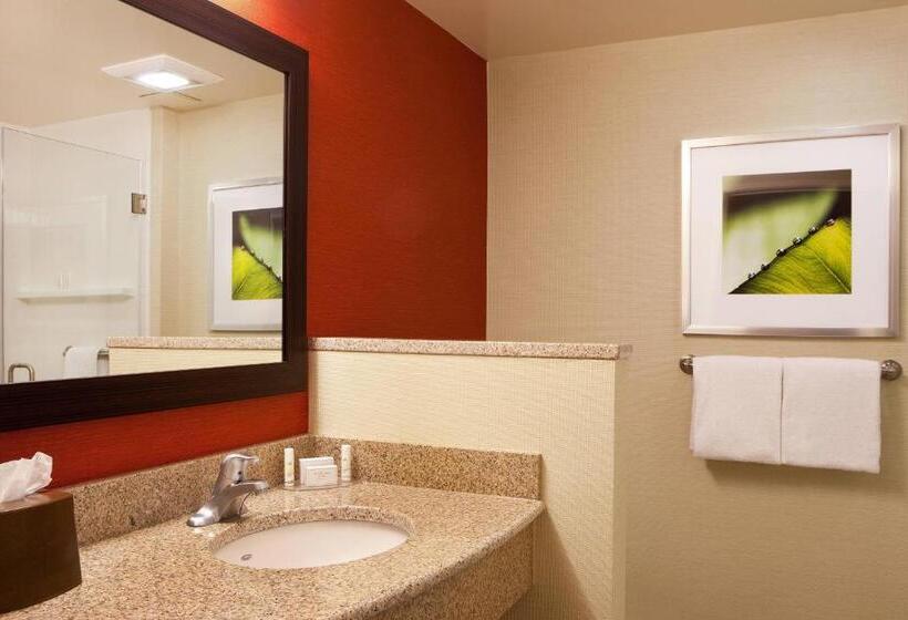 Стандартный Номер Кровать Кинг, Courtyard By Marriott Syracuse Downtown At Armory Square