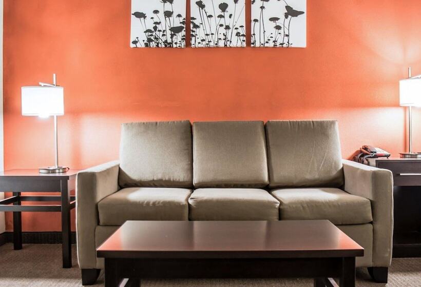 스위트, Sleep Inn & Suites Fort Campbell