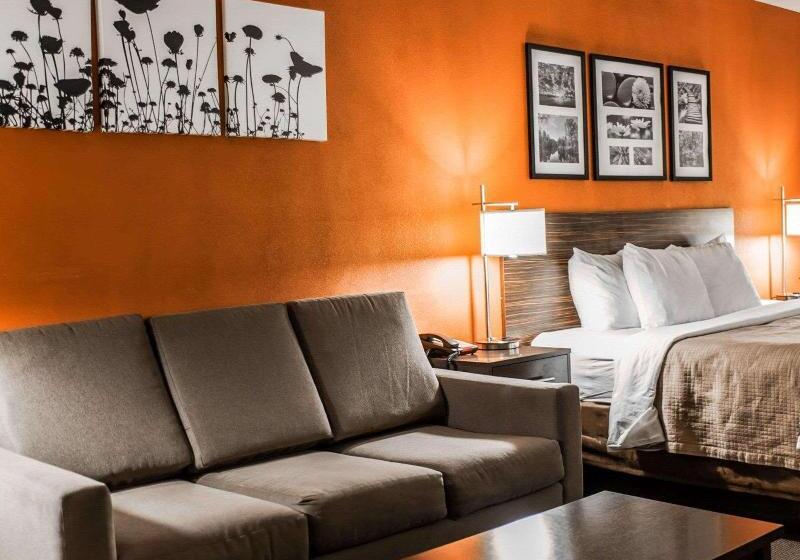스위트 킹사이즈 침대, Sleep Inn & Suites Fort Campbell