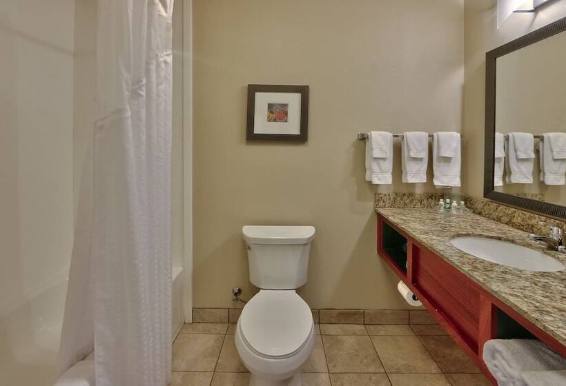 스탠다드 룸, Holiday Inn Roswell, An Ihg
