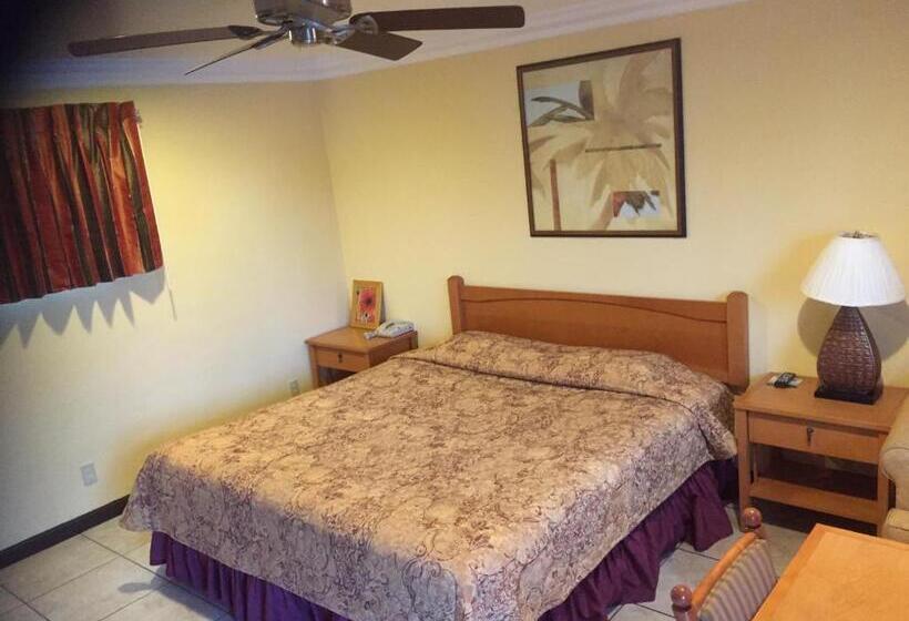 带大床的标准间, Bayshore Inn Ventura