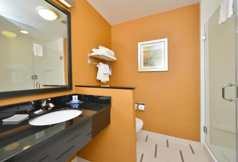 Стандартный Номер Кровать Кинг, Fairfield Inn & Suites By Marriott Elmira Corning