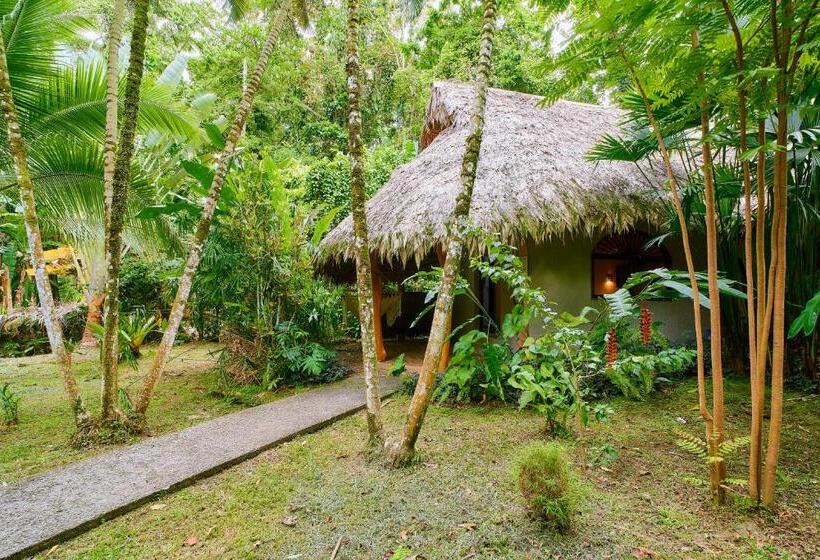 Номер Superior с Видом, Cariblue Beach and Jungle Resort