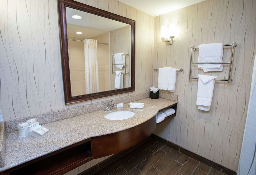 Номер Стандарт Адаптированный для Инвалидов, Hilton Garden Inn Dayton South Austin Landing