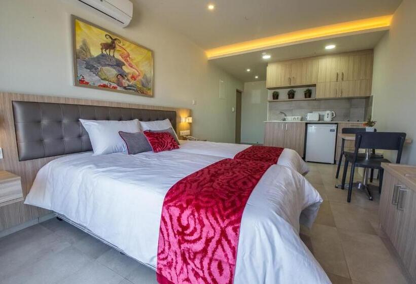 استودیوی استاندارد با چشم‌انداز دریا, Zodiac Hotel Apartments