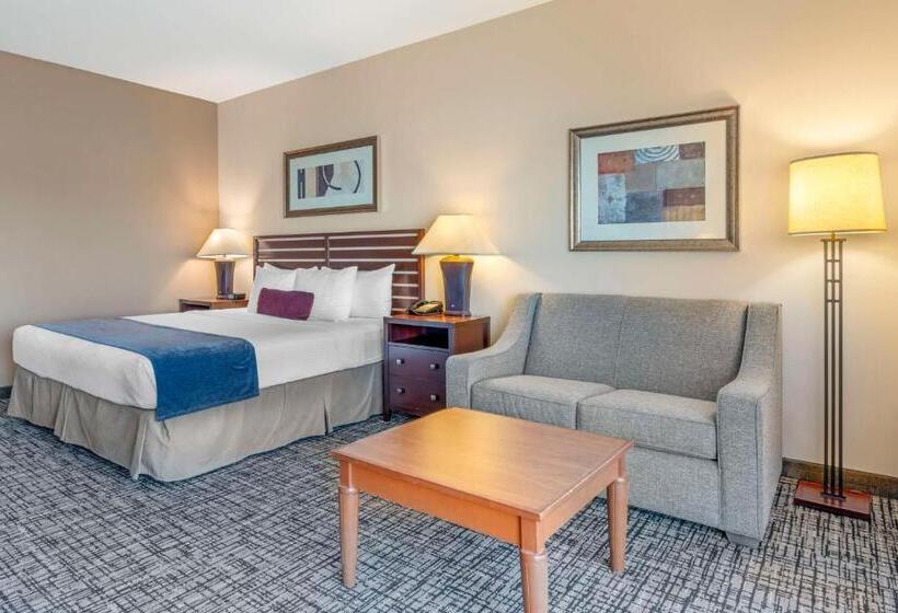 Pokój Typu Standard Łóżko King Przystosowany dla Osób Niepełnosprawnych, Best Western Plus Bayside