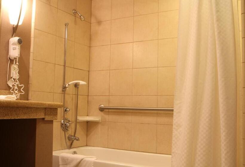 Standaardkamer Aangepast voor Gehandicapten, Best Western Plus Bayside