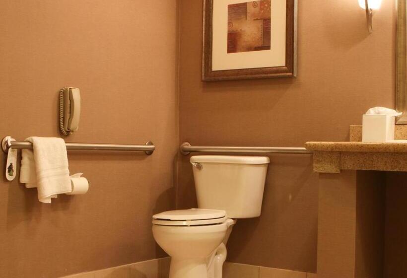 Standaardkamer Aangepast voor Gehandicapten, Best Western Plus Bayside