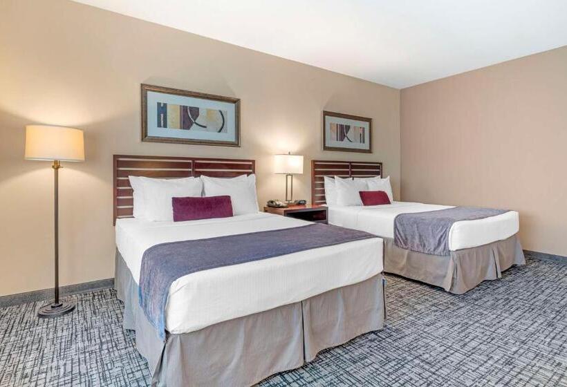 StandaardKamer, Best Western Plus Bayside