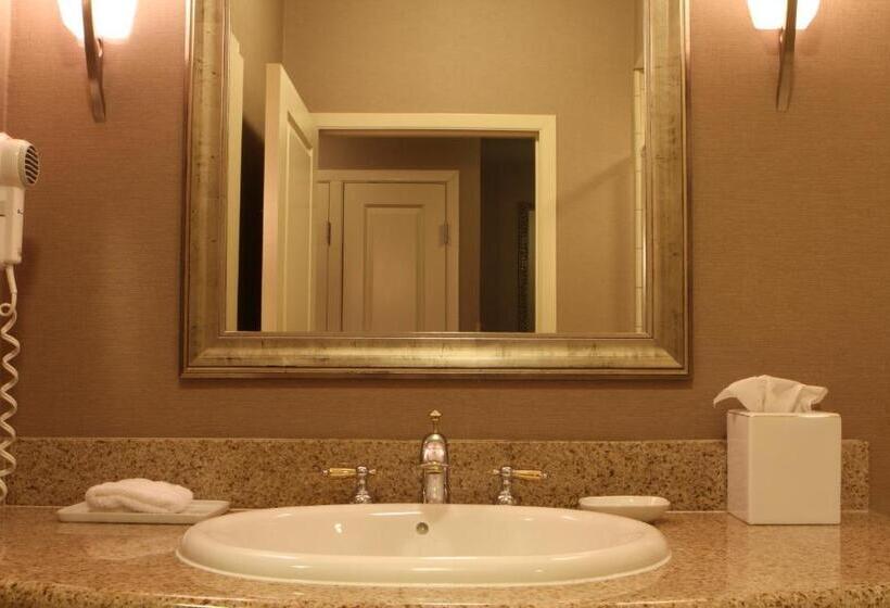 Standaardkamer met Uitzicht op de Stad, Best Western Plus Bayside