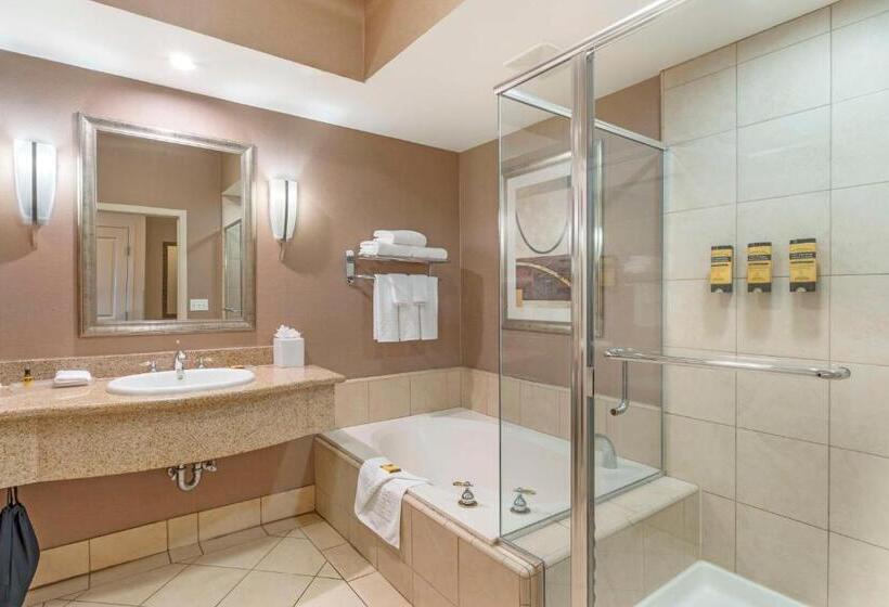 Standaardkamer met Uitzicht, Best Western Plus Bayside