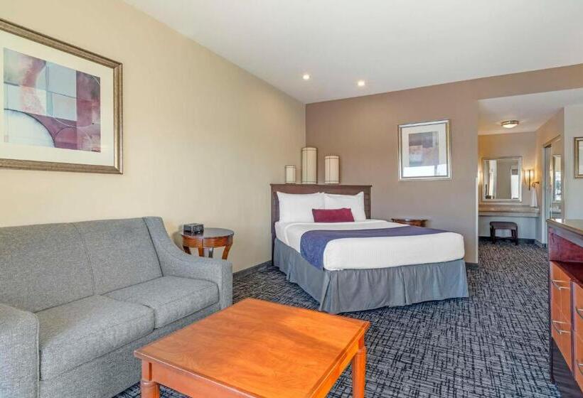 Pokój Standard z Widokiem, Best Western Plus Bayside