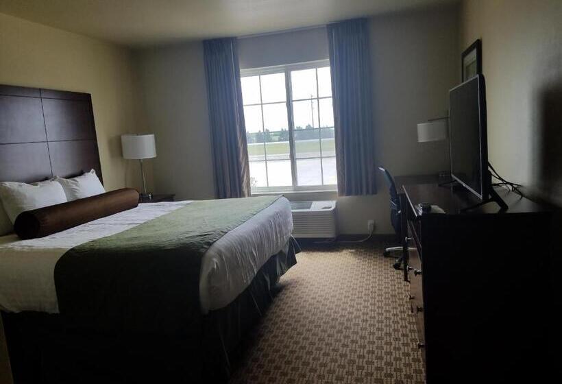 스탠다드 룸 킹사이즈 침대, Cobblestone Inn & Suites  Bottineau