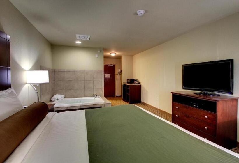 스탠다드 룸 킹사이즈 침대, Cobblestone Inn & Suites  Bottineau