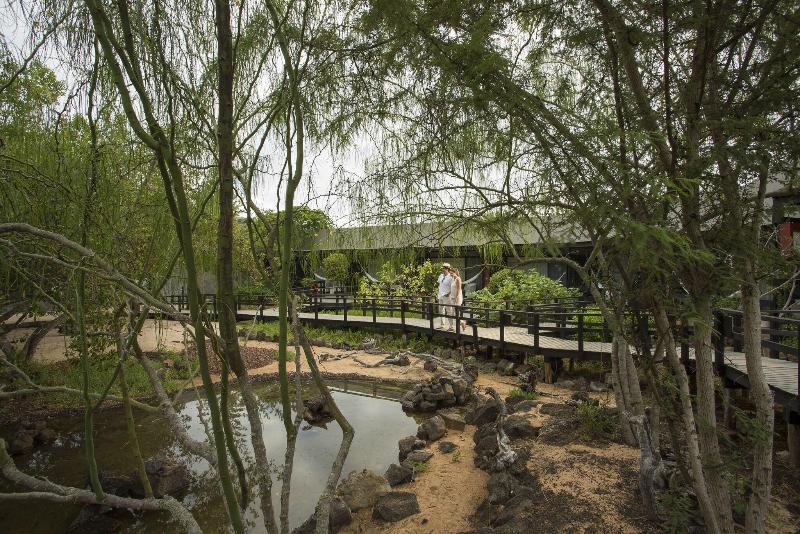 Стандартный Номер Кровать Кинг, Finch Bay Galapagos