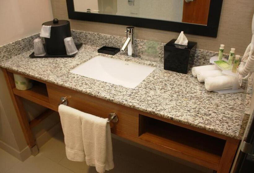 Quarto Estandar para Deficientes Físicos, Holiday Inn Express North Hollywood   Burbank Area, An Ihg