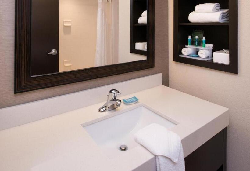 스탠다드 룸 킹사이즈 침대, Holiday Inn Express & Suites Monroe, An Ihg