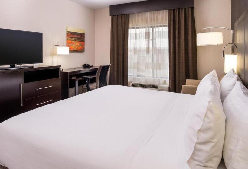 キングサイズベッドのスタンダードルーム, Holiday Inn Express & Suites Monroe, An Ihg