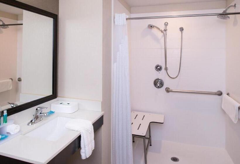 장애인을 위한 킹사이즈 침대 스탠다드 룸, Holiday Inn Express & Suites Monroe, An Ihg
