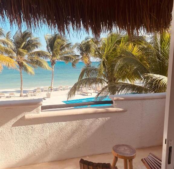 Camera Standard Vista Mare, Pavoreal Beach Resort Tulum