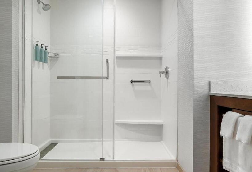 Люкс 2 Спальни, Residence Inn Largo Medical Center Drive