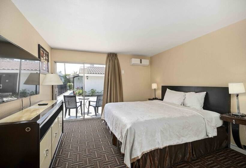 Suite, The Lemon Tree