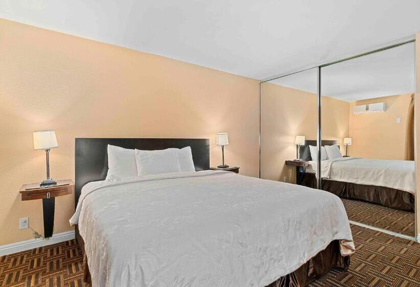 Chambre Standard Lit King Size, The Lemon Tree