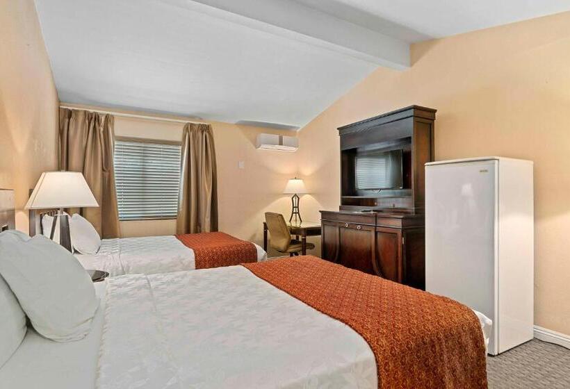 Suite Familiale, The Lemon Tree