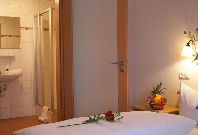 Номер Стандарт, Alpenhotel Ernberg