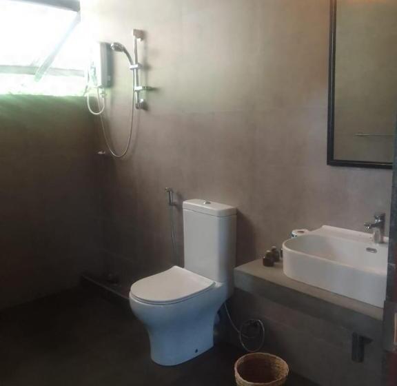 اتاق استاندارد, Club Mango Resort