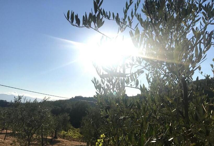 スタンダードトリプルルーム, Il Podere La Casina