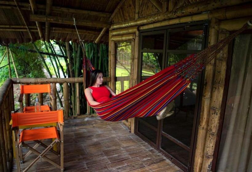 Suíte Deluxe, Ecohotel Monteverde