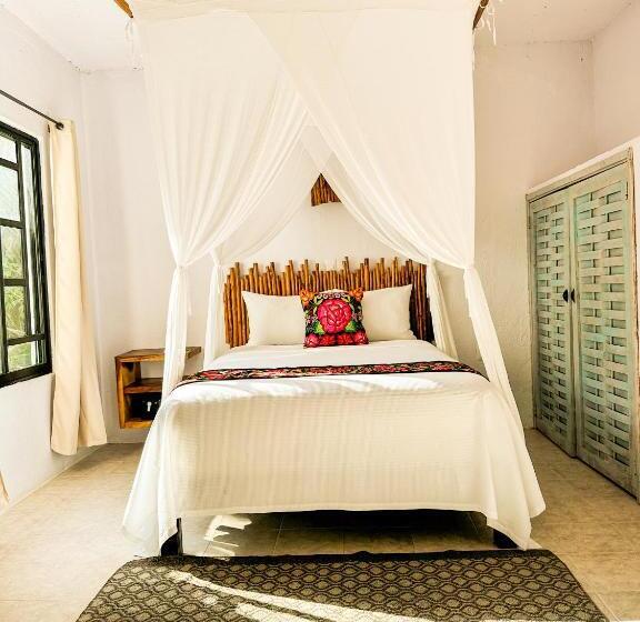 Quarto Estandar, Alito Tulum