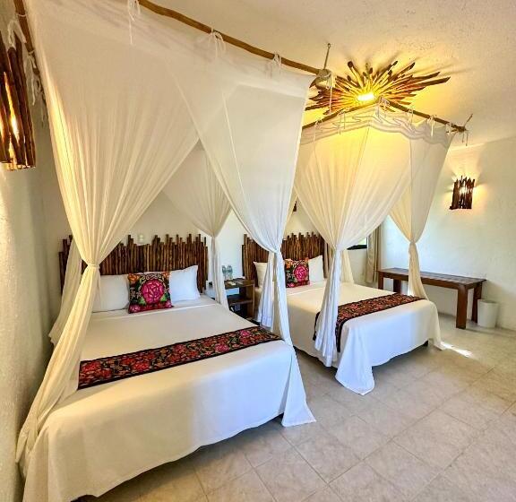Quarto Estandar, Alito Tulum