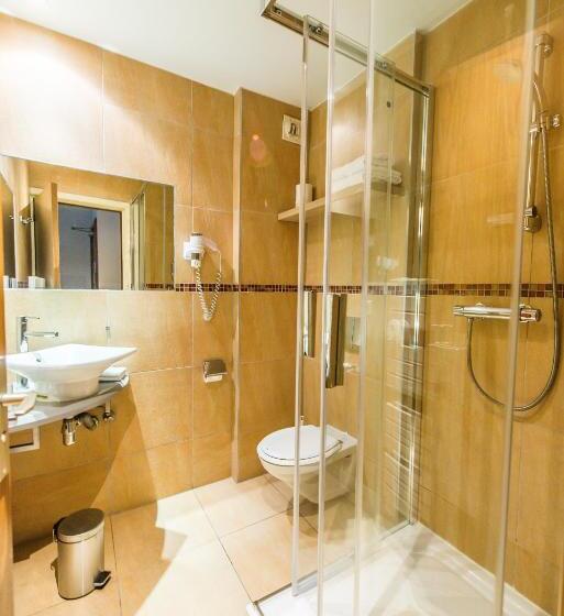 Номер Стандарт, Hôtel Au Lion