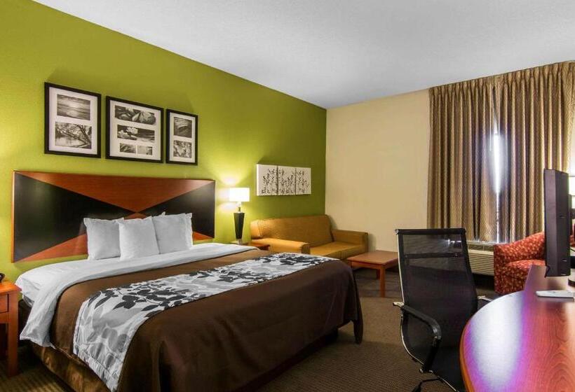 Стандартный Номер Кровать Кинг, Sleep Inn & Suites Near Fort Greggadams