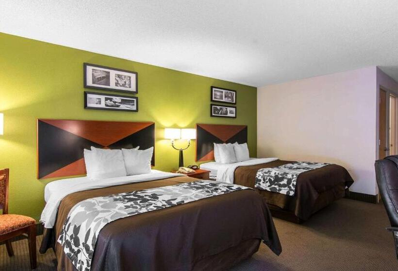 Номер Стандарт 2 Двуспальные Кровати, Sleep Inn & Suites Near Fort Greggadams
