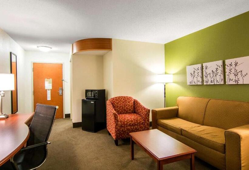 Люкс Кровать Кинг, Sleep Inn & Suites Near Fort Greggadams