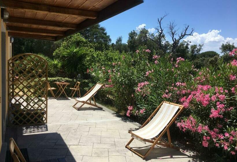Номер Стандарт, B&b Tavolara