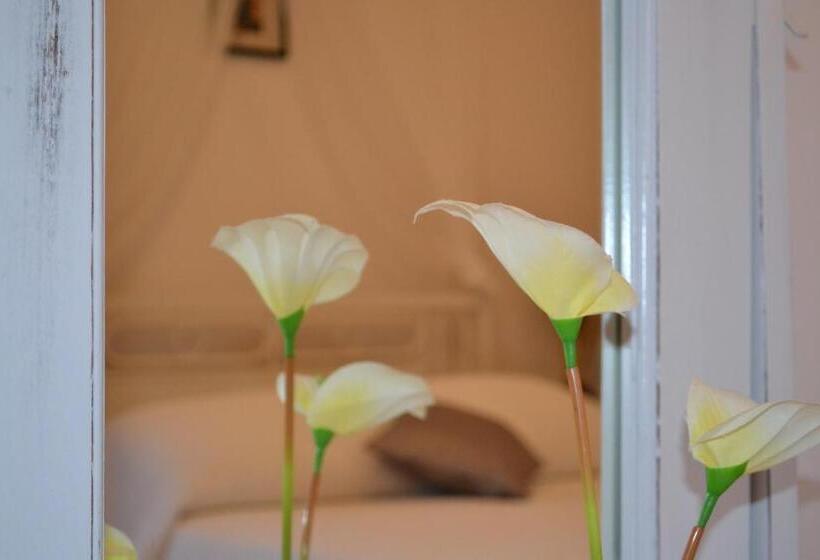 Chambre Individuelle Intérieure, Dream Island