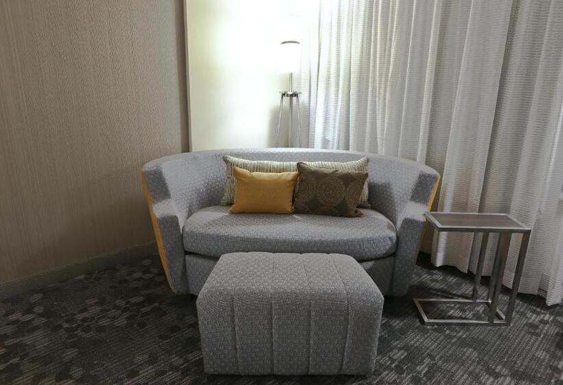 Стандартный Номер Кровать Кинг, Courtyard By Marriott Battle Creek