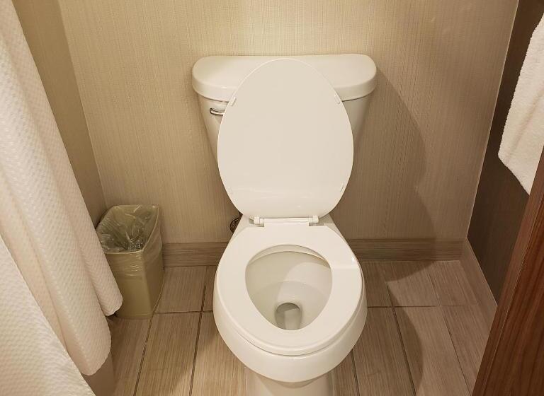 Номер Стандарт, Courtyard By Marriott Battle Creek