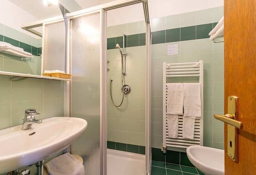 اتاق استاندارد, Alpine Touring Hotel Petfriendly