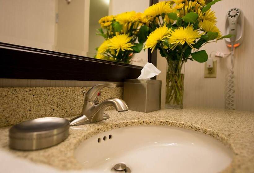 اتاق استاندارد, Hampton Inn By Hilton Sydney