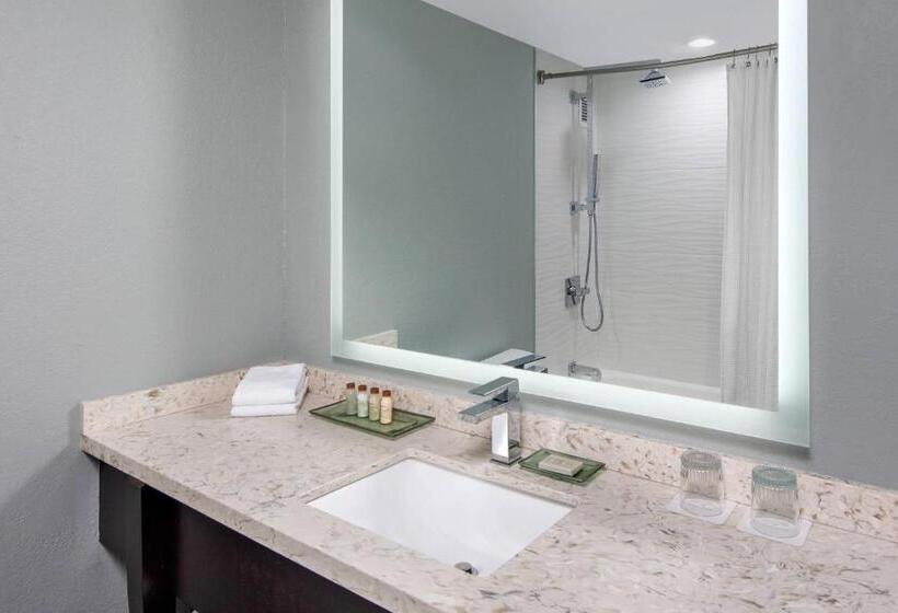 Стандартный Номер Кровать Кинг, Renaissance Indianapolis North