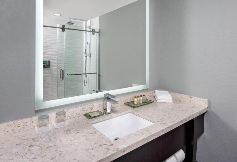 Номер Стандарт, Renaissance Indianapolis North