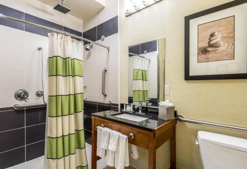 Номер Стандарт, Fairfield Inn & Suites By Marriott Alamogordo