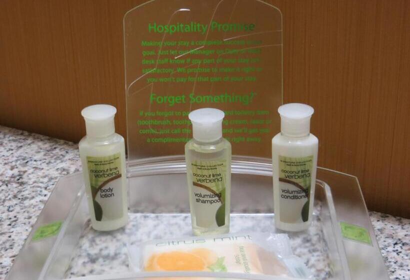 Стандартный Номер Кровать Кинг, Holiday Inn Express & Suites Willmar, An Ihg