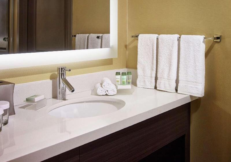 سوئیت پریمیوم, Homewood Suites By Hilton Hamilton, Ontario, Canada
